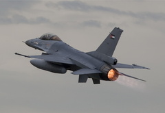 F-16, falcon, 
